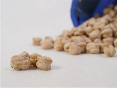 GARBANZOS