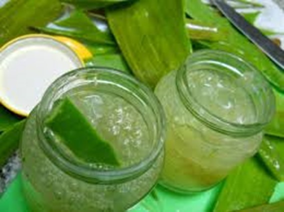 MASACARILLA CASERA DE ALOE VERA Y AGUACATE